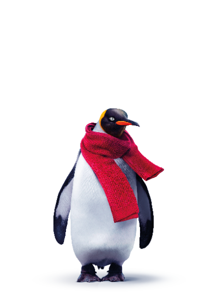 Pinguin